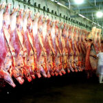 preocupacion-en-el-sector-exportador-china-paga-casi-un-50-menos-por-la-carne-y-202507Th-183729-a602.jpg