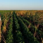 productores-agricolas-convocan-a-un-paro-en-protesta-a-las-ultimas-medidas-202507We-122109-cbc2.jpg