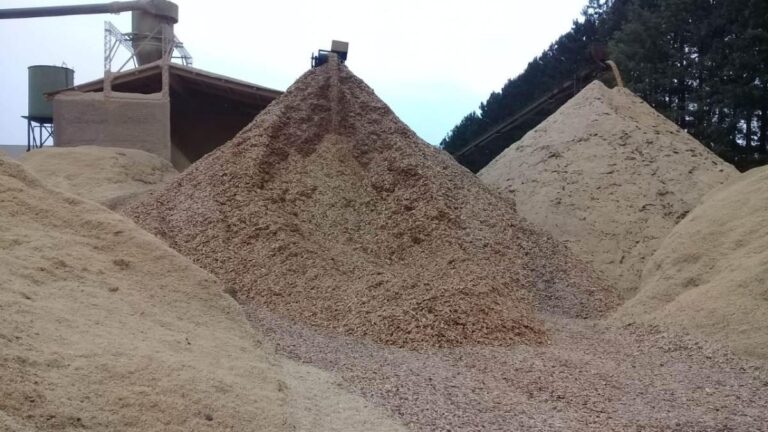 productores-y-compradores-de-chips-y-raleo-piden-que-bajen-los-precios-202507Fr-100816-4f20.jpg