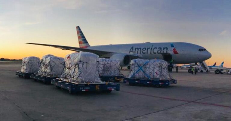 record-exportan-soja-argentina-a-estados-unidos-en-avion-202507Mo-154159-9d45.jpg