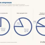 relevamiento-de-empresas-en-argentina-del-indec-el-60-de-las-mas-grandes-son-de-202507Th-102952-b983.webp