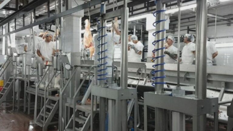 santa-fe-lidera-las-exportaciones-de-lacteos-del-pais-202507We-094116-b9b9.jpg