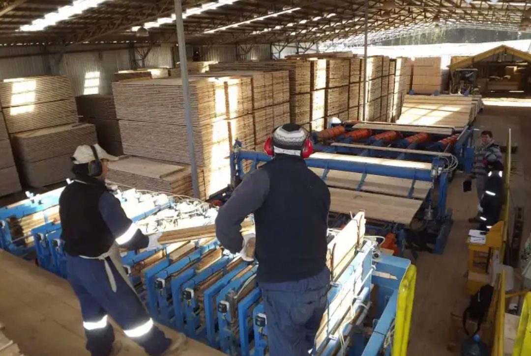solo-3-de-cada-10-pymes-industriales-tiene-rentabilidad-202507Mo-173706-fb45.png