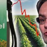 biodiesel-pymes-presentan-recurso-de-amparo-colectivo-frente-a-medida-de-la-secr-202508We-141650-8e6b.jpg