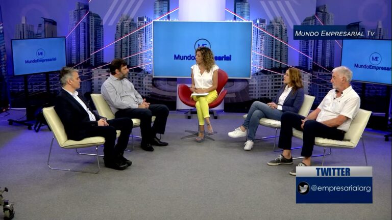 referentes-estuvieron-en-mundoempresarialtv-dialogando-sobre-la-unidad-pyme-punt-202508Su-173546-3be4.png