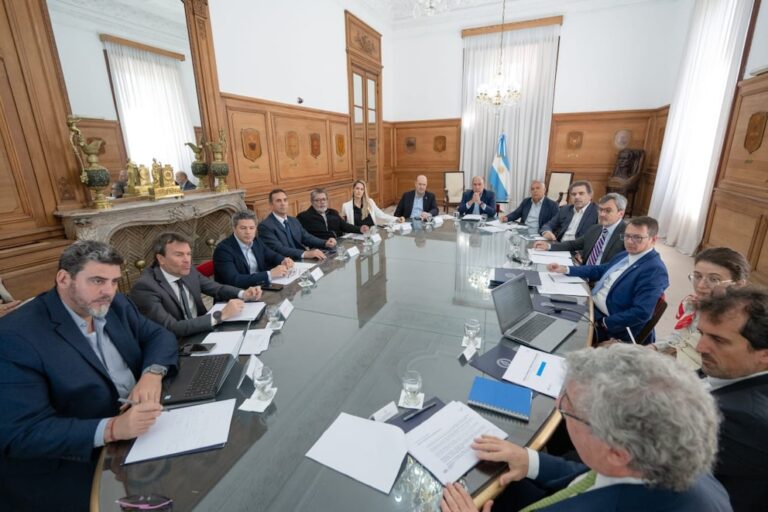 El gobernador de Mendoza, Alfredo Cornejo, presente en el Consejo