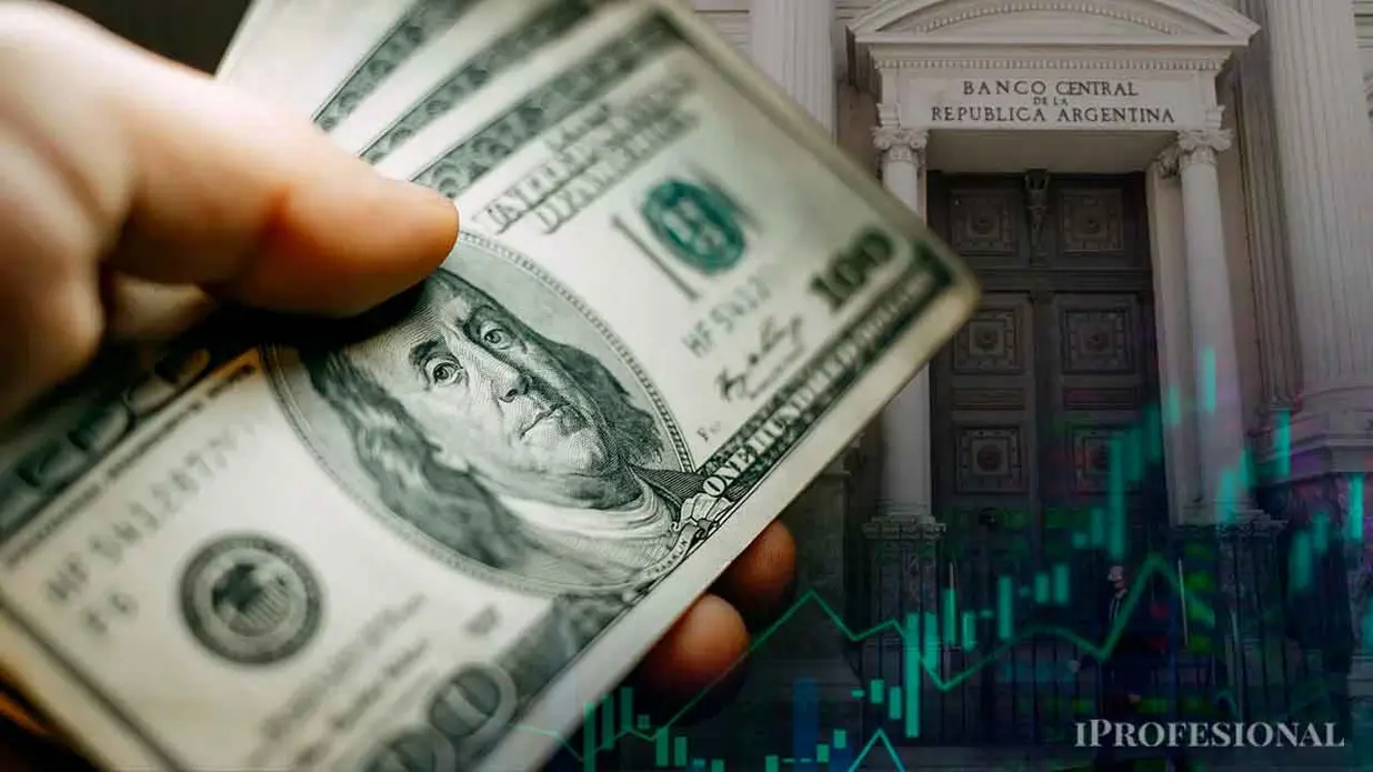 Intervención del Banco Central para contener el dólar mayorista