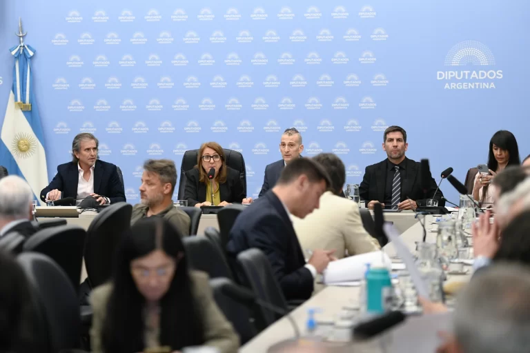 Diputados dio dictamen de mayoría a la Ley de Emergencia PyME impulsada por ENAC