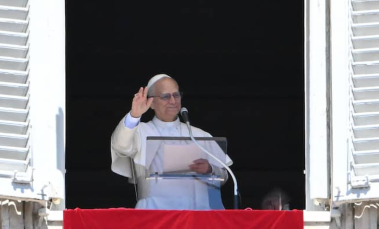 Papa León XIV industria nacional