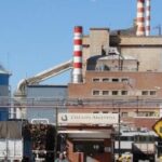 Celulosa - Celulosa Argentina en crisis total: perdió $99.000 millones