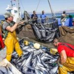 Enrique - Enrique Di Costanzo sobre la industria pesquera: “Estamos pasando una crisis terrible por el combustible”