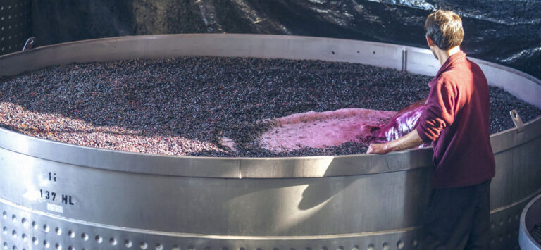 sobrestock - Ante el sobrestock de vino, Fecovita molió 25 millones de kg de uva para mosto de exportación