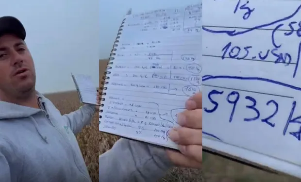 vuelvo - "Me vuelvo loco": necesita 6000 kilos de trigo por hectárea solo para cubrir costos