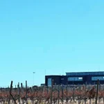 nueva - La nueva bodega de la Patagonia que está lista para producir 645.000 litros de vino por año