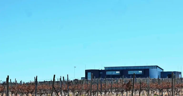 nueva - La nueva bodega de la Patagonia que está lista para producir 645.000 litros de vino por año
