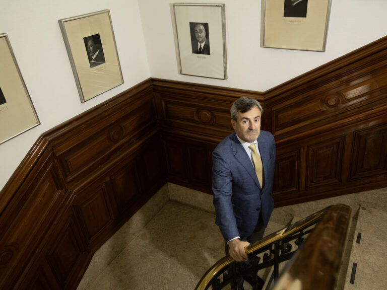 Martin - Martin Rapallini, el otro explicador del Gobierno: "El 75% de los sectores de la economía caza en el zoológico"