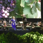 Coviar - Coviar: la Fiesta de la Cosecha y otras acciones de promoción del vino podrían desaparecer