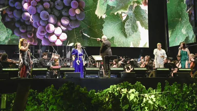 Coviar - Coviar: la Fiesta de la Cosecha y otras acciones de promoción del vino podrían desaparecer