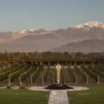 Explota - Explota la interna del vino: el Gobierno elimina aportes y divide al sector