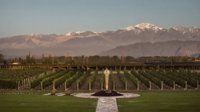 Explota - Explota la interna del vino: el Gobierno elimina aportes y divide al sector