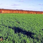 Gobierno - El Gobierno homologó la primera paritaria rural bajo la reforma laboral