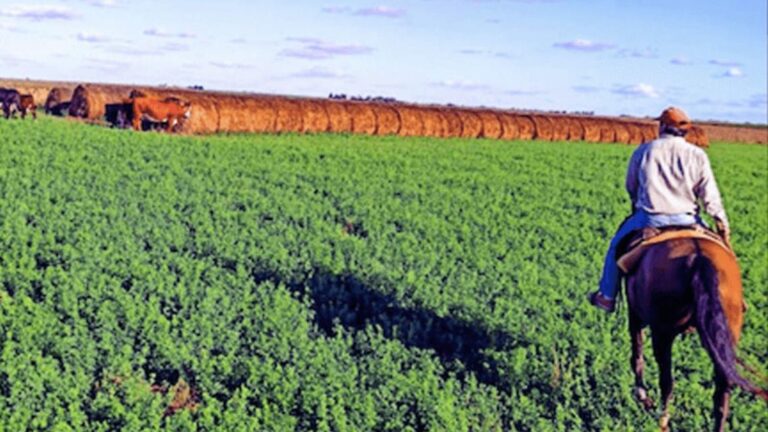 Gobierno - El Gobierno homologó la primera paritaria rural bajo la reforma laboral
