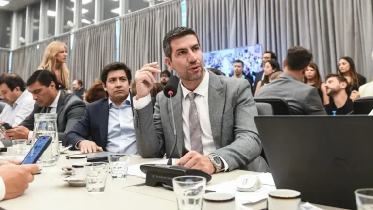 nombre - "A mi nombre": diputado libertario cayó al Congreso con un auto de 200.000 dólares
