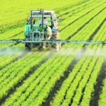 ¿Quién - ¿Quién ordena el agro? Fertilizantes