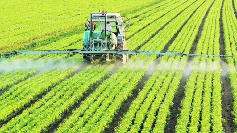¿Quién - ¿Quién ordena el agro? Fertilizantes