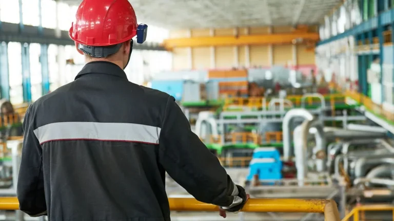 claves - Las claves del RIMI para inversiones productivas: beneficios impositivos, requisitos y controles