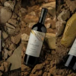 mejor - El mejor vino tinto del Nuevo Mundo es argentino