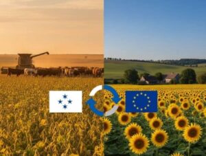 Tratado UE Mercosur: Dólares, vino y soja y el lobby millona