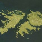 nota-181