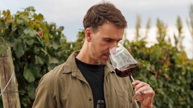 Santiago Mayorga, enólogo: “Veía en Estados Unidos una góndola completa de vinos sin alcohol, me traje varias botellas para entender los sistemas y dije: ‘Si nosotros los tenemos que hacer acá, ¿con qué sistema podemos hacerlo?’”
