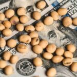 Bunge es nuevo líder de exportaciones agrícolas argentinas