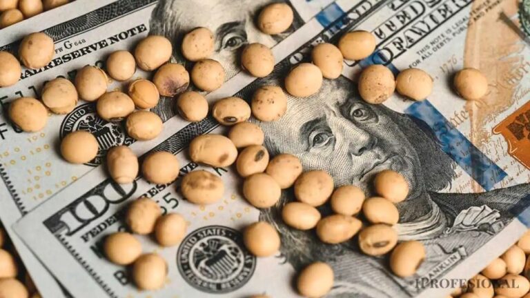 Bunge es nuevo líder de exportaciones agrícolas argentinas