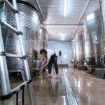 Nueva polémica en la vitivinicultura: el INV casi duplicó aranceles y hay enojo en las bodegas | Infocampo