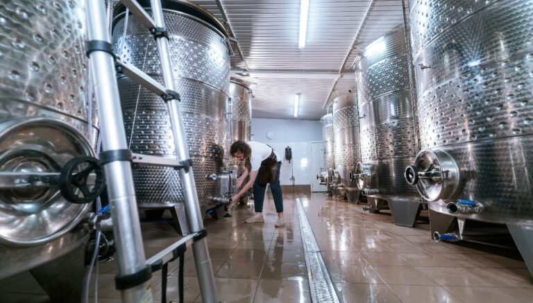 Nueva polémica en la vitivinicultura: el INV casi duplicó aranceles y hay enojo en las bodegas | Infocampo