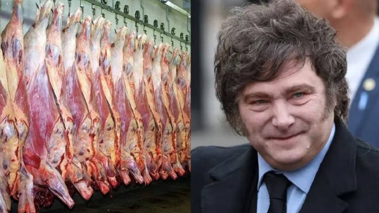 Denuncian despidos y salarios impagos en un frigorífico