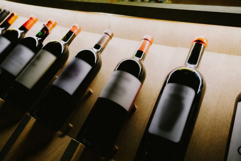 El vino argentino cerró un semestre positivo: las exportaciones crecieron un 14,2%