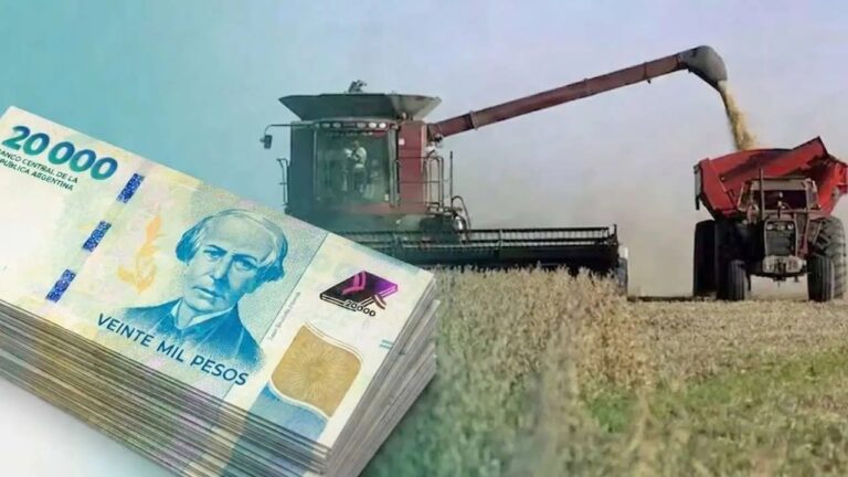 Empresa del agro tiene 100 cheques rechazados por $1.200 millones y no pudo cubrir el vencimiento de sus ON