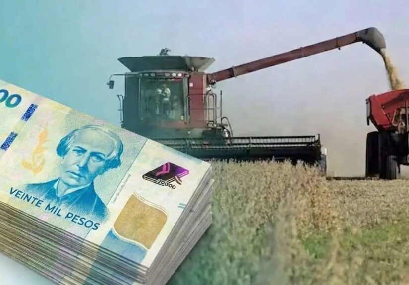 Empresa del agro tiene 100 cheques rechazados por $1.200 millones y no pudo cubrir el vencimiento de sus ON