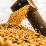 Los precios del trigo y la soja alcanzan máximos de más de dos años por el impacto de la guerra de Medio Oriente