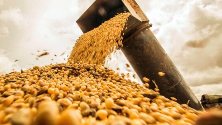 Los precios del trigo y la soja alcanzan máximos de más de dos años por el impacto de la guerra de Medio Oriente
