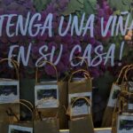 De Mendoza al balcón: la curiosa propuesta para tener tu propio viñedo y hacer vino en pleno centro porteño