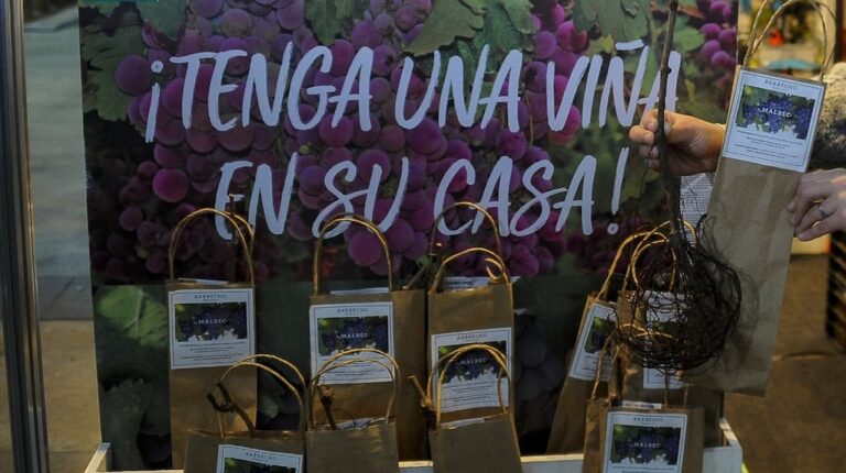 De Mendoza al balcón: la curiosa propuesta para tener tu propio viñedo y hacer vino en pleno centro porteño