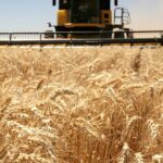 La industria perdió peso en la Provincia