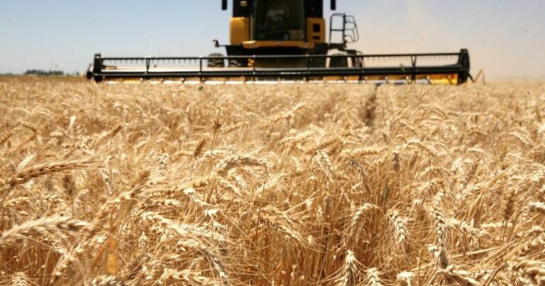 La industria perdió peso en la Provincia