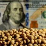 El campo liquida menos dólares y le baja el ritmo a la acumulación de reservas del Banco Central