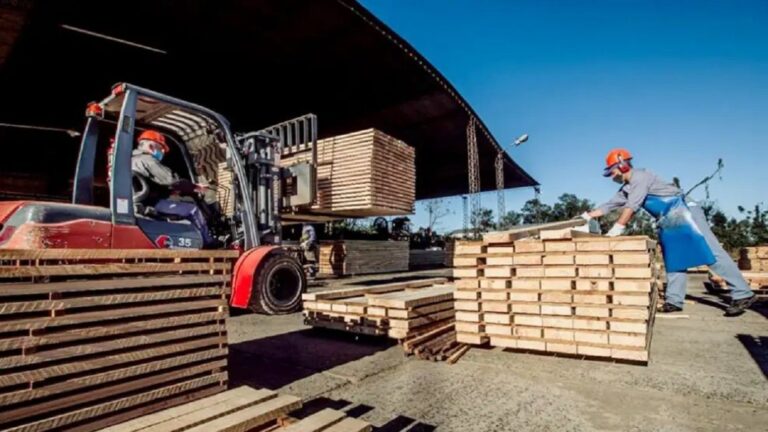 La industria maderera de Misiones: "El gran problema que tenemos es el mercado interno que no arranca" - Perfil